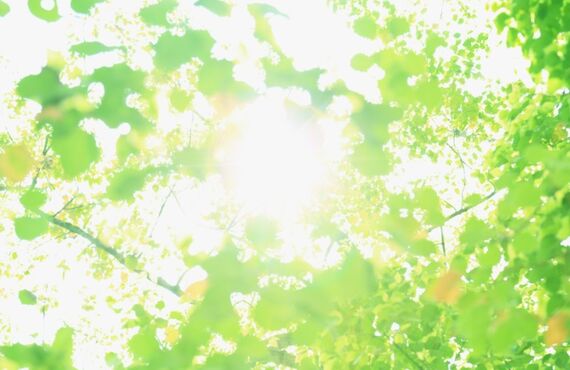 東京で失敗しない！成人式前撮りの撮影！